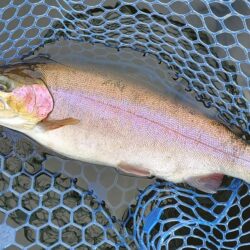 シビアなアタリを掛ける ～岡崎トラウトポンド～